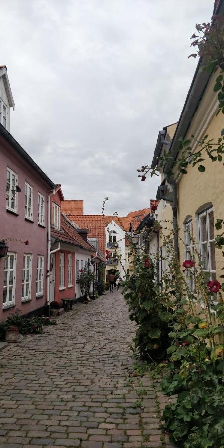 Apartment In The Heart Of Aalborg Esterno foto